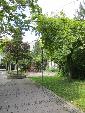 Wunderbar hergerichtete Hinterhöfe und Gärten im Westend